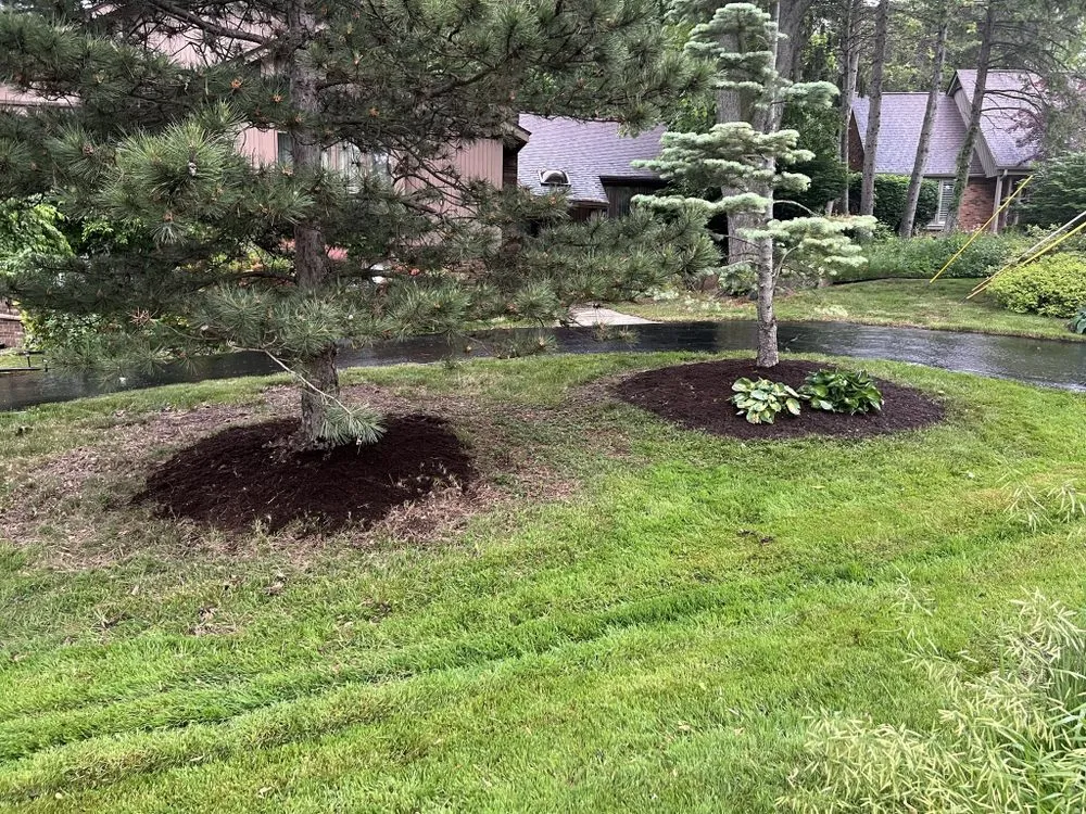 Top-rated yard cleanup service in Pontiac, MI by Harris Lawn Services