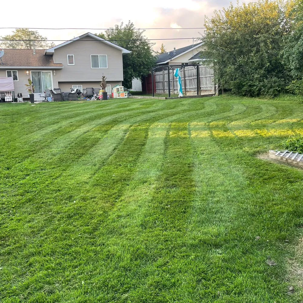 Local yard maintenance in Pontiac, MI - Harris Lawn Services
