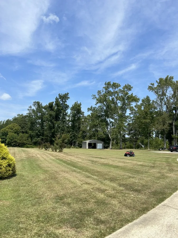 Top-rated yard cleanup service with custom design in Grimesland, NC by Harris Lawncare
