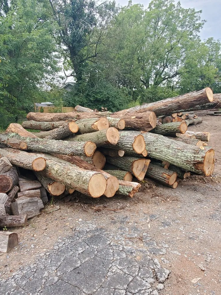 Trusted yard cleanup service for year-round maintenance in Adamstown, MD by Harris Logging & Firewood