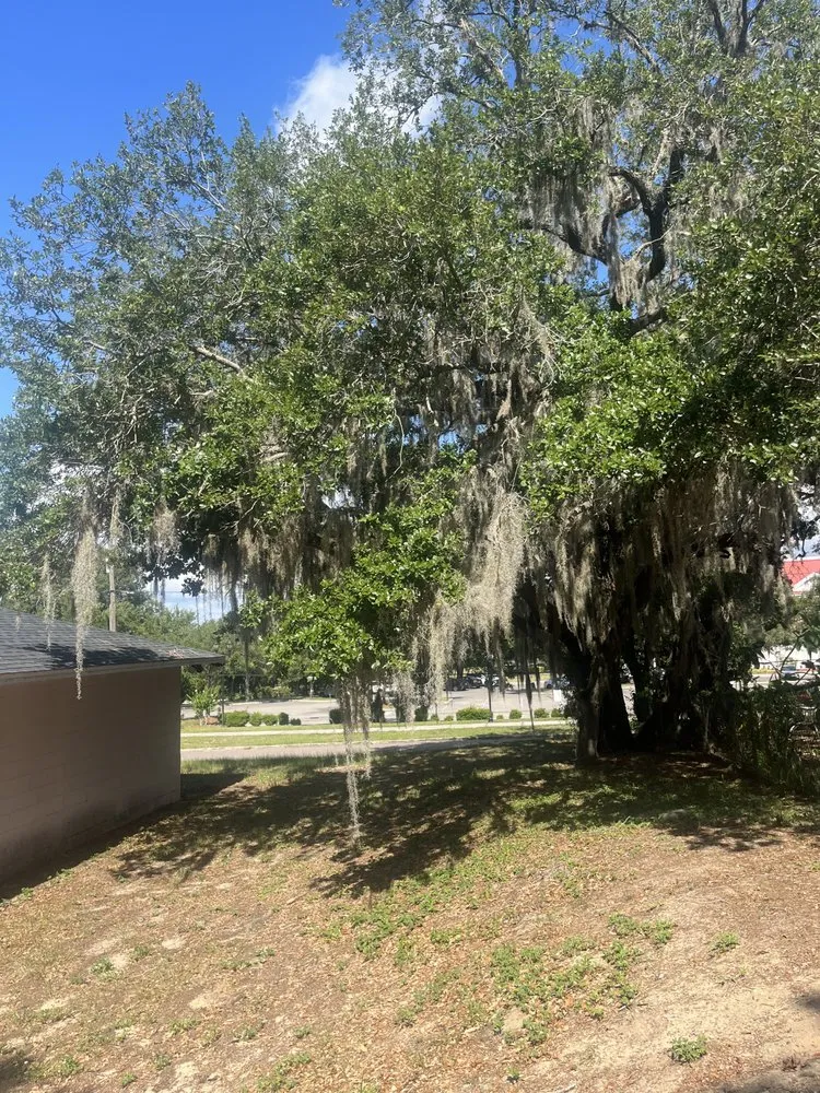 Local garden landscaping in Haines City, FL by Harris N Sons Tree Service & Lawncare