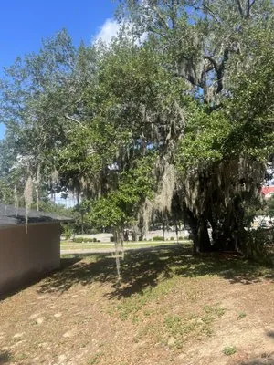 Harris N Sons Tree Service & Lawncare Logo