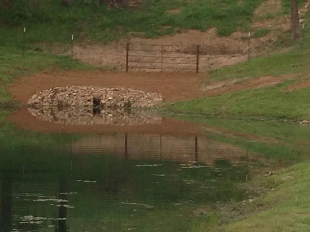 Local lawn care service experts serving California, MO - Harris Property Services