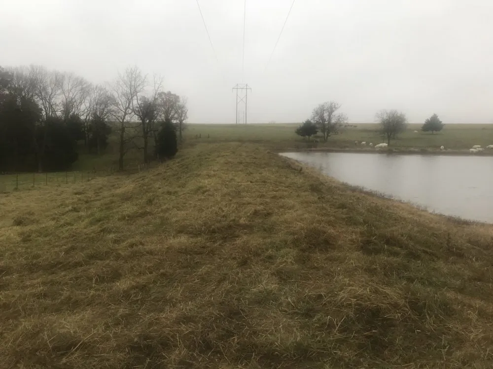 Professional outdoor landscaping in California, MO - Harris Property Services