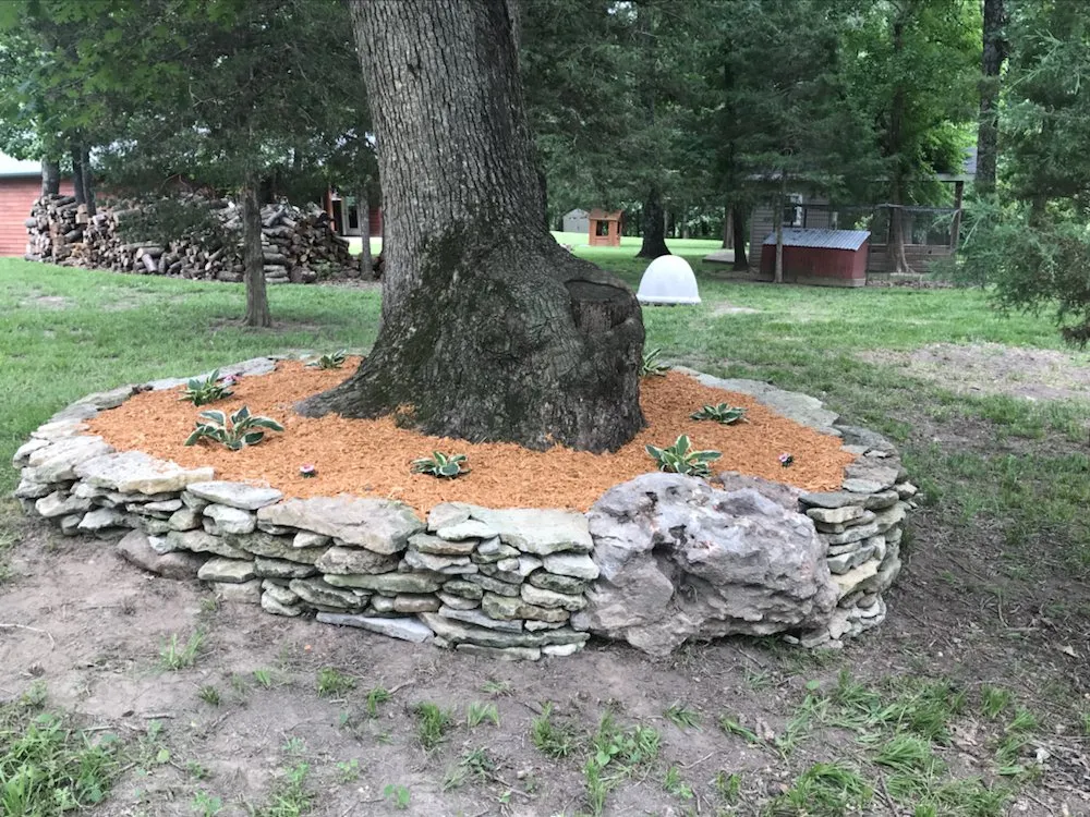 Affordable landscaping services in California, MO by Harris Property Services