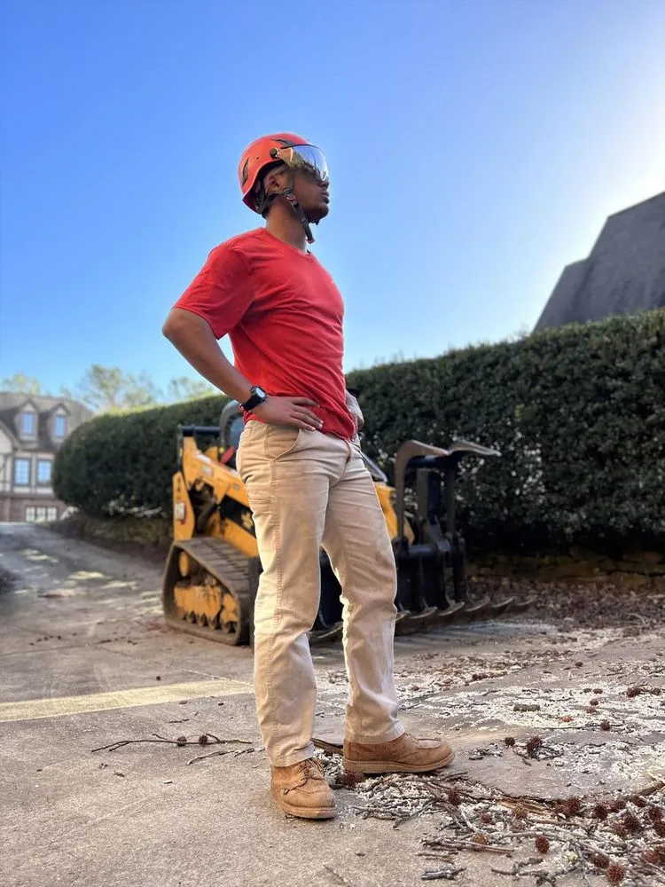 Top-rated yard maintenance with custom design across Springville, AL - Harris Tree Service