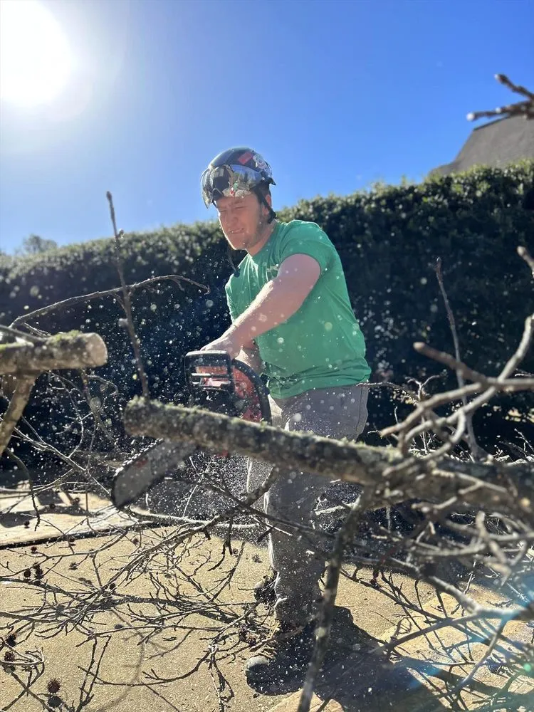 Professional yard maintenance in Springville, AL by Harris Tree Service