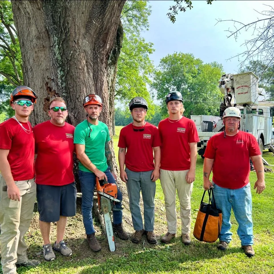 Trusted yard cleanup service experts serving Springville, AL - Harris Tree Service