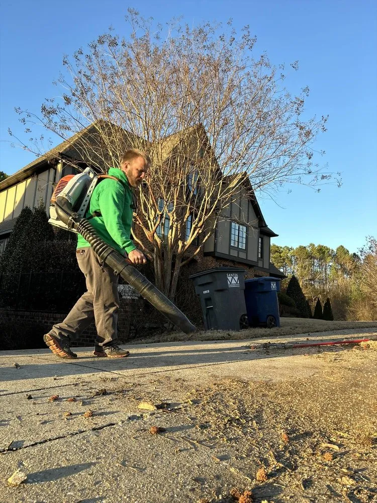 Top-rated lawn care service near you across Springville, AL - Harris Tree Service
