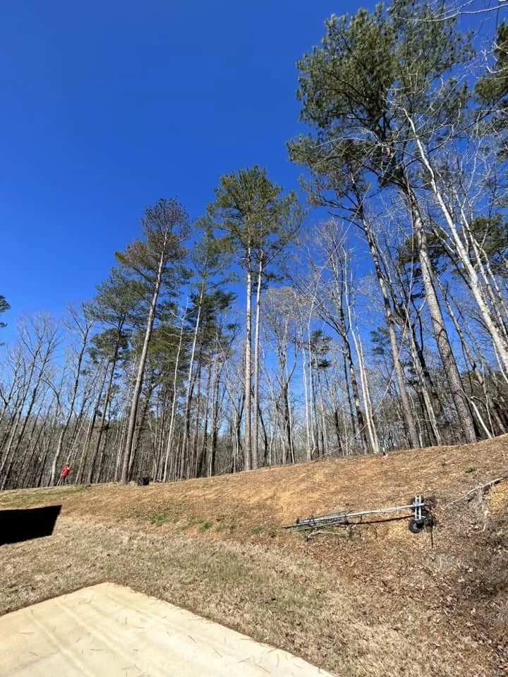 Custom outdoor landscaping for residential properties across Springville, AL - Harris Tree Service