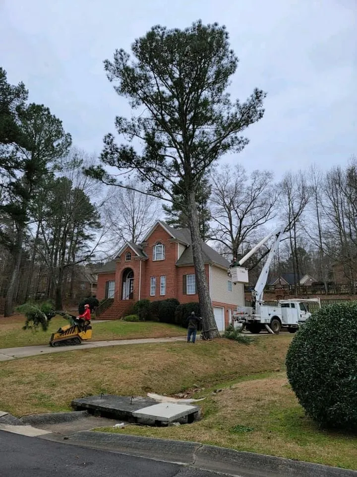 Top-rated yard cleanup service for beautiful yards in Springville, AL by Harris Tree Service