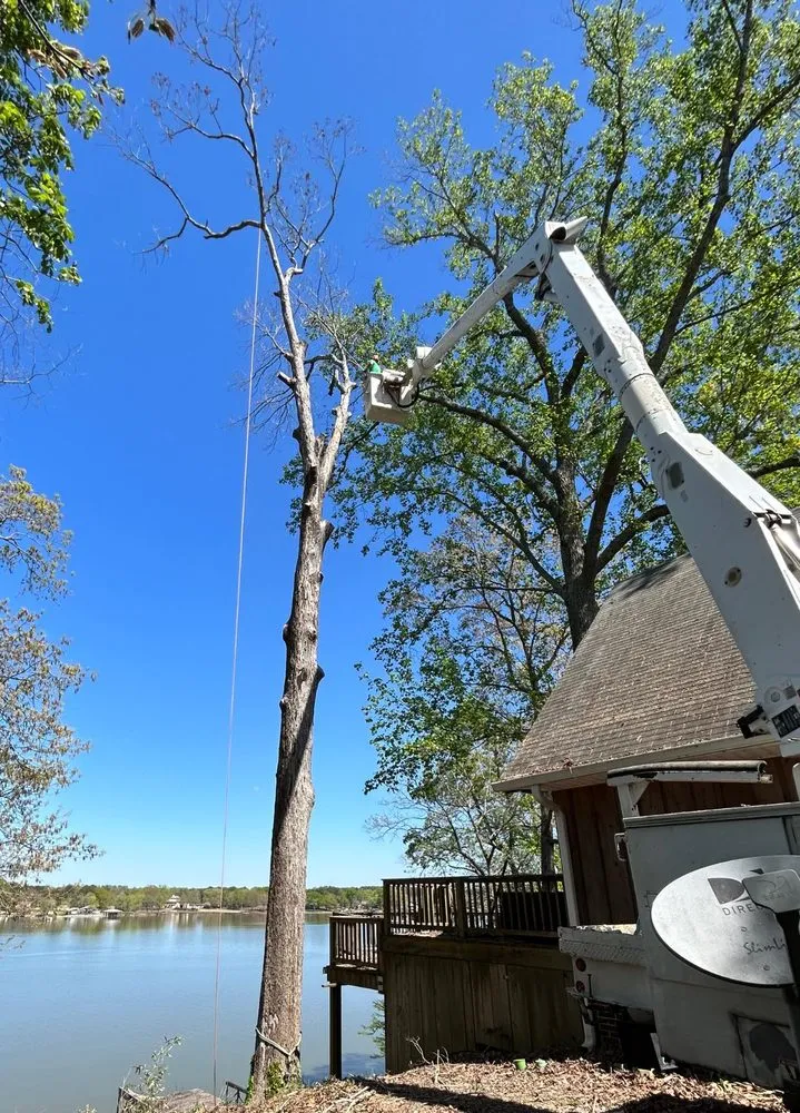 Expert lawn mowing service near you across Springville, AL - Harris Tree Service