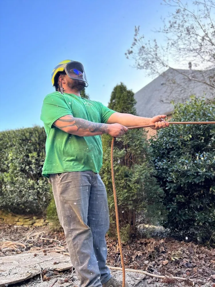 Top-rated landscaping services in Springville, AL - Harris Tree Service