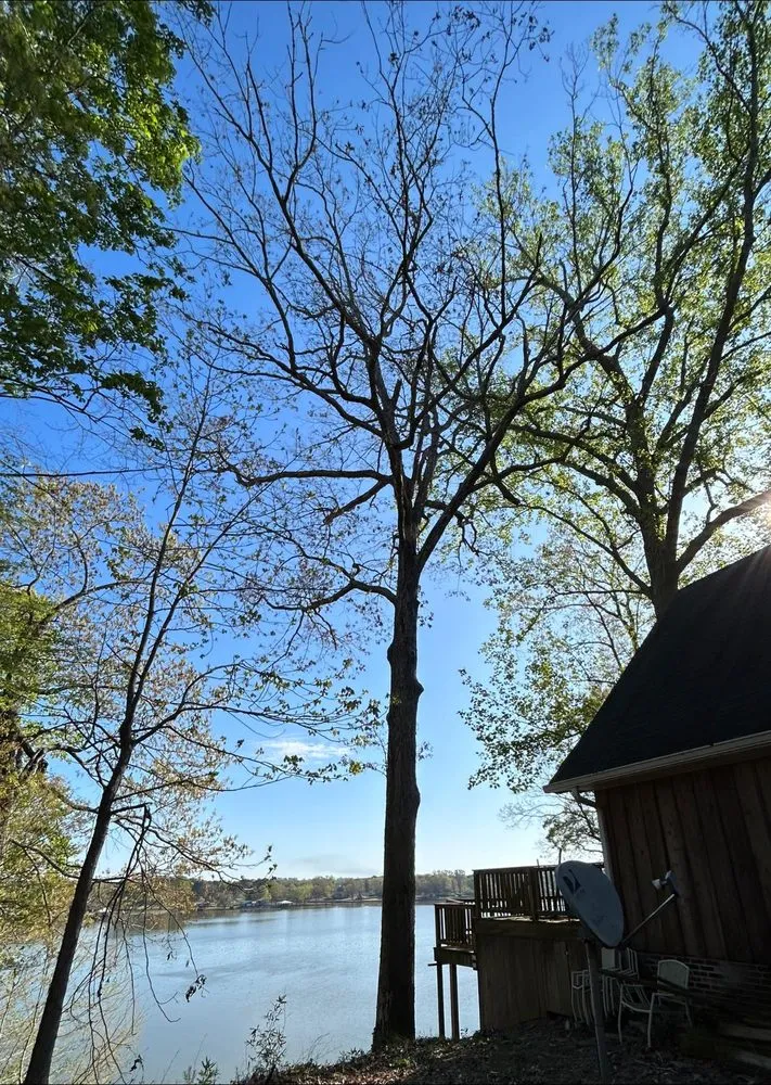 Affordable lawn mowing service in Springville, AL - Harris Tree Service