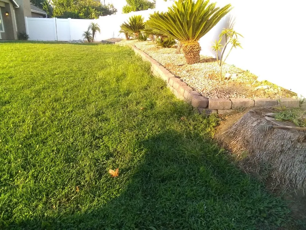 Professional landscape design with custom design across San Bernardino, CA - Harris Window Cleaning Lawn & Gardening Service