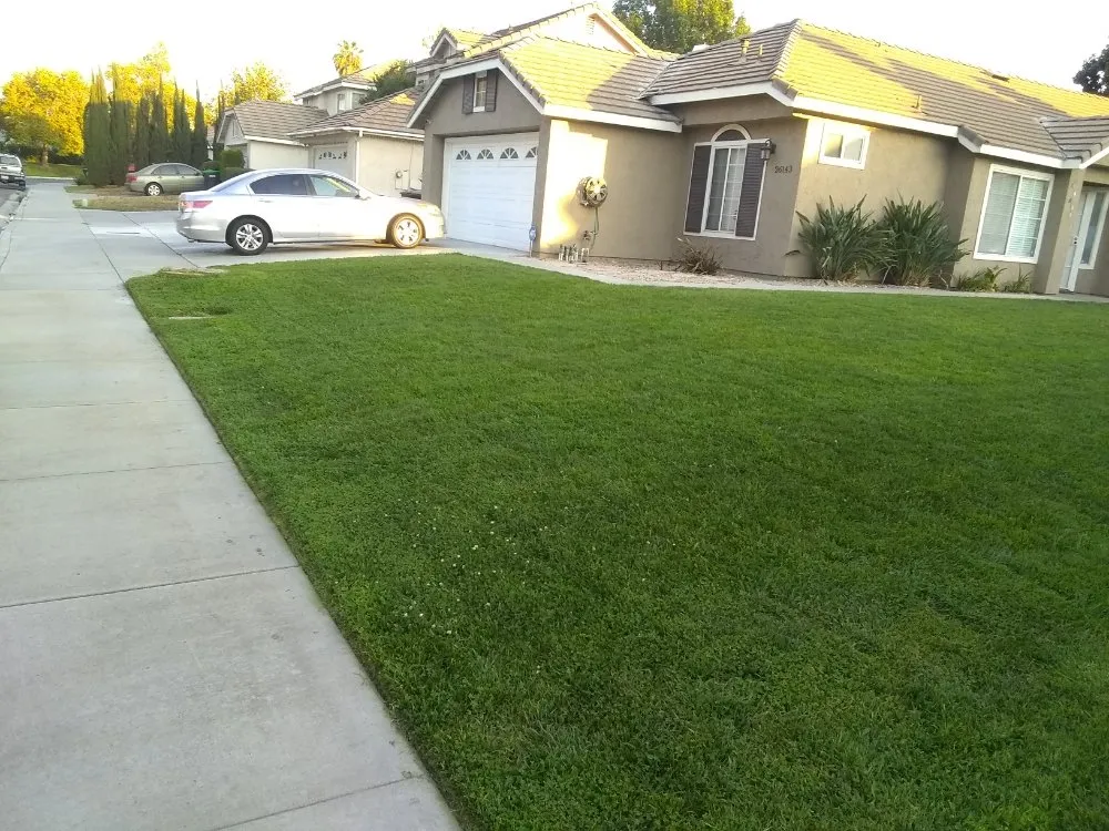 Affordable yard maintenance experts serving San Bernardino, CA - Harris Window Cleaning Lawn & Gardening Service