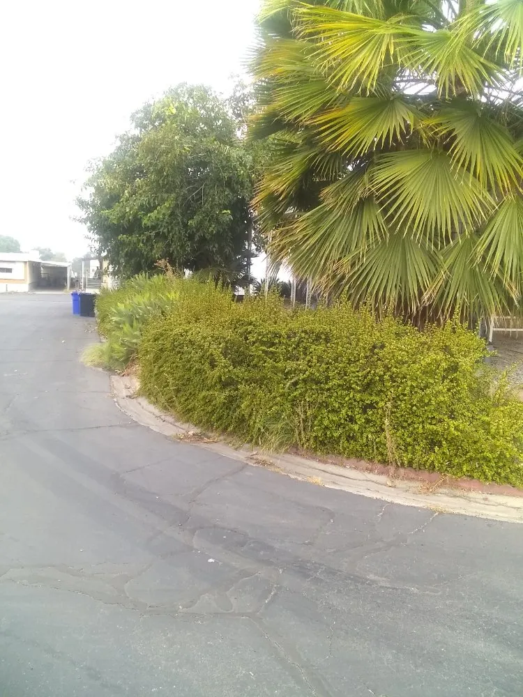 Trusted landscape design experts serving San Bernardino, CA - Harris Window Cleaning Lawn & Gardening Service