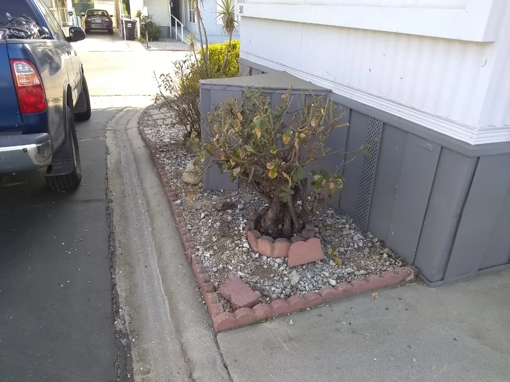 Local garden landscaping for residential properties across San Bernardino, CA - Harris Window Cleaning Lawn & Gardening Service