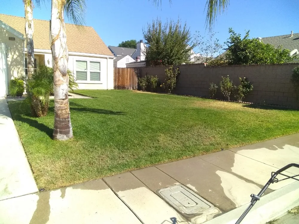 Affordable yard cleanup service in San Bernardino, CA - Harris Window Cleaning Lawn & Gardening Service