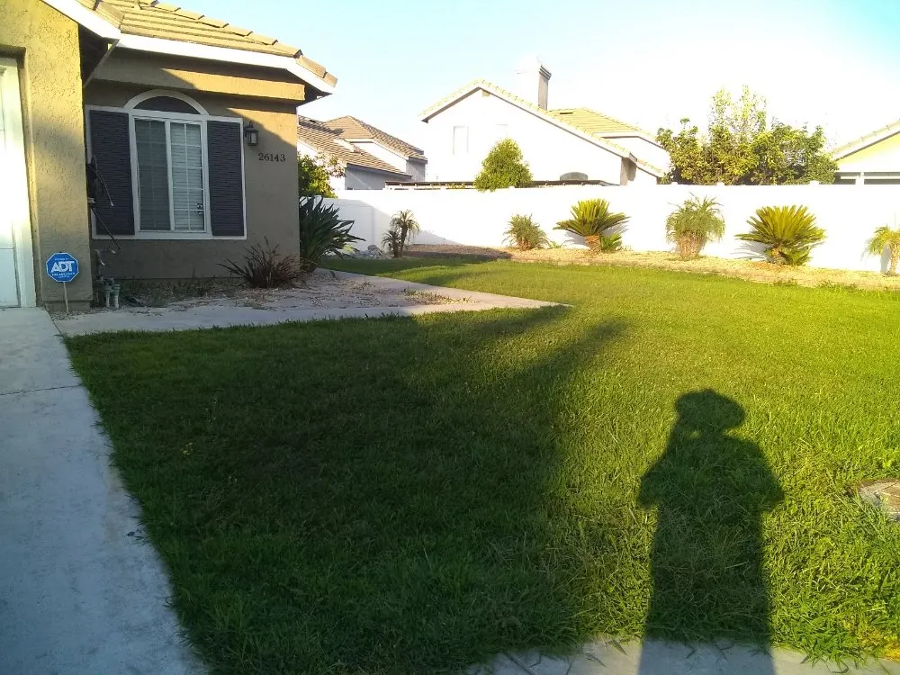 Trusted lawn care service experts serving San Bernardino, CA - Harris Window Cleaning Lawn & Gardening Service