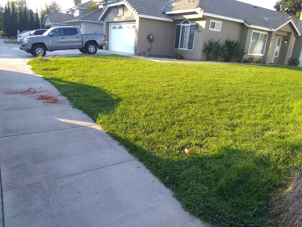 Reliable yard maintenance experts serving San Bernardino, CA - Harris Window Cleaning Lawn & Gardening Service