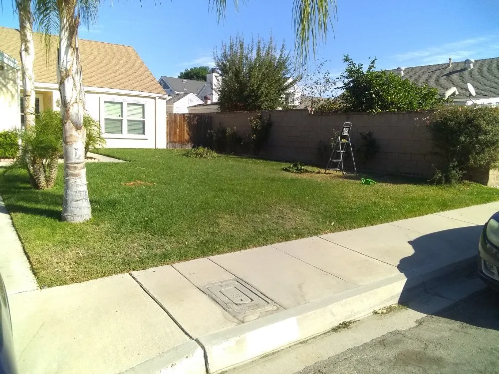 Reliable outdoor landscaping in San Bernardino, CA - Harris Window Cleaning Lawn & Gardening Service