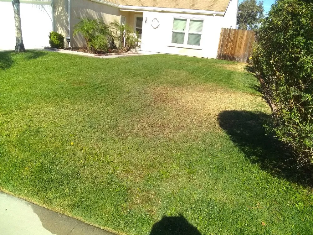 Affordable lawn care service for beautiful yards across San Bernardino, CA - Harris Window Cleaning Lawn & Gardening Service