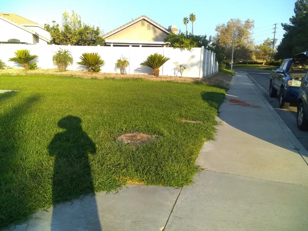 Reliable yard maintenance in San Bernardino, CA - Harris Window Cleaning Lawn & Gardening Service