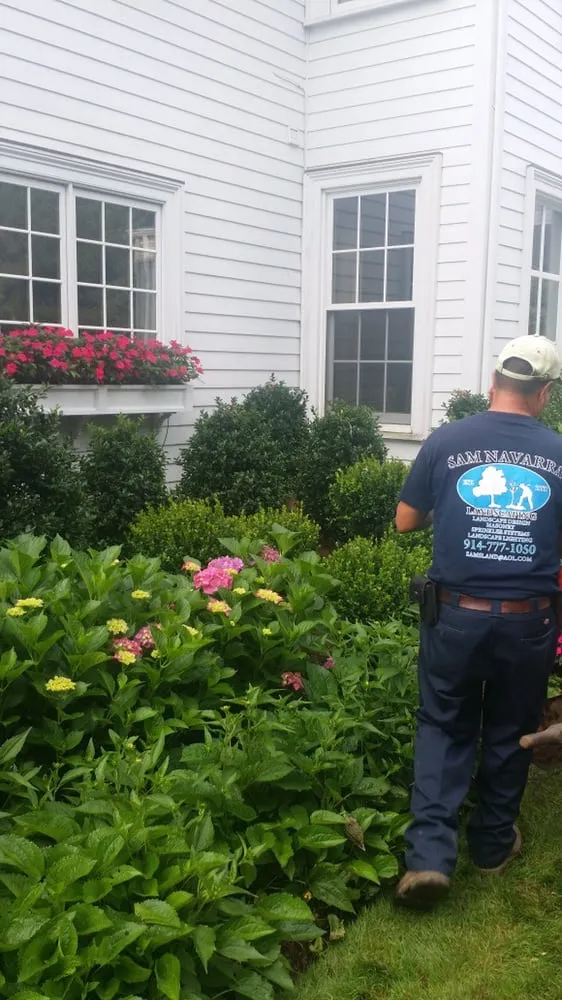Trusted yard maintenance near you across Mamaroneck, NY - Harrison Avenue Garden Center