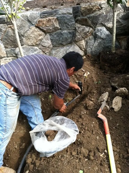 Reliable yard maintenance for residential properties across Mamaroneck, NY - Harrison Avenue Garden Center