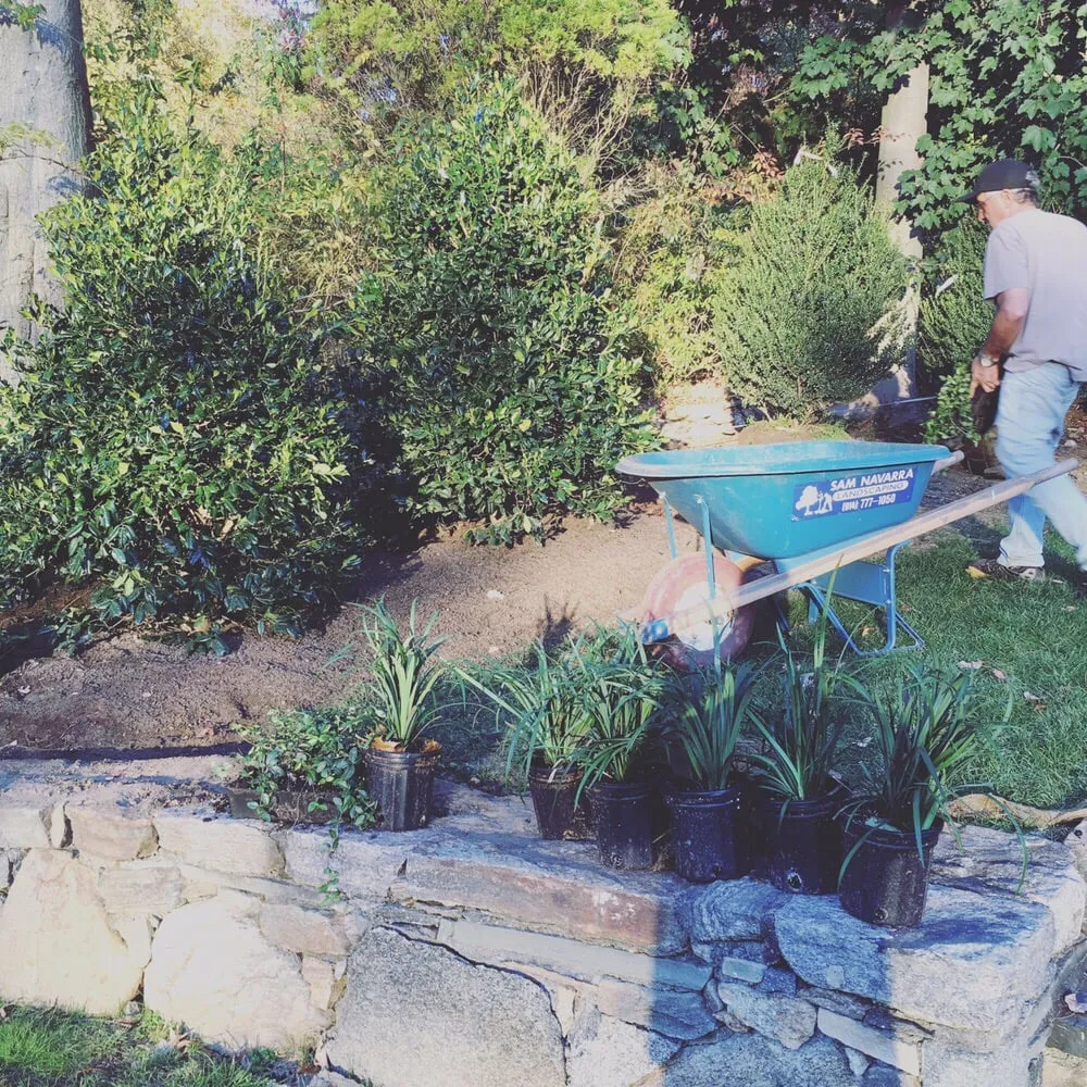 Custom lawn mowing service with custom design across Mamaroneck, NY - Harrison Avenue Garden Center