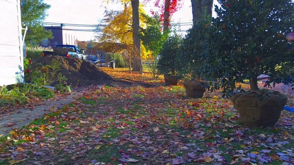 Professional yard cleanup service for residential properties across Mamaroneck, NY - Harrison Avenue Garden Center