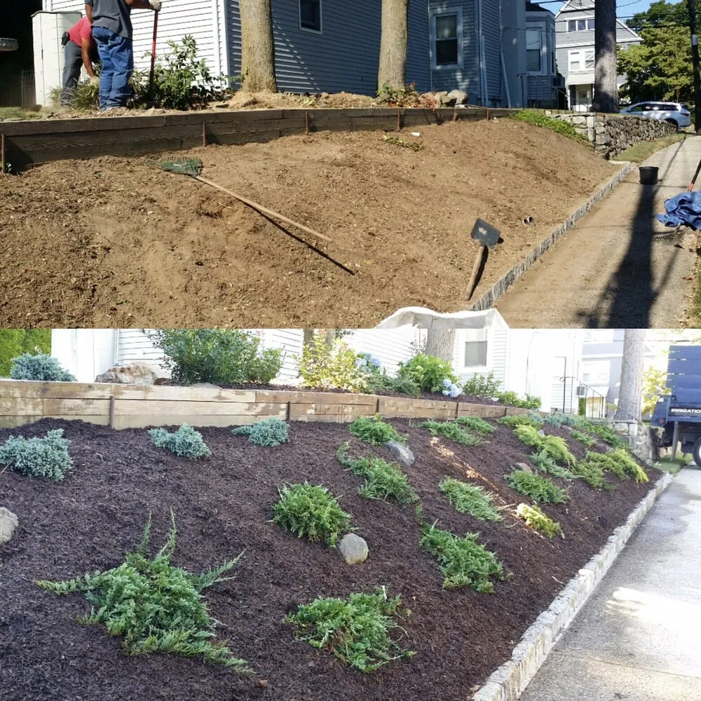 Expert yard maintenance in Mamaroneck, NY by Harrison Avenue Garden Center