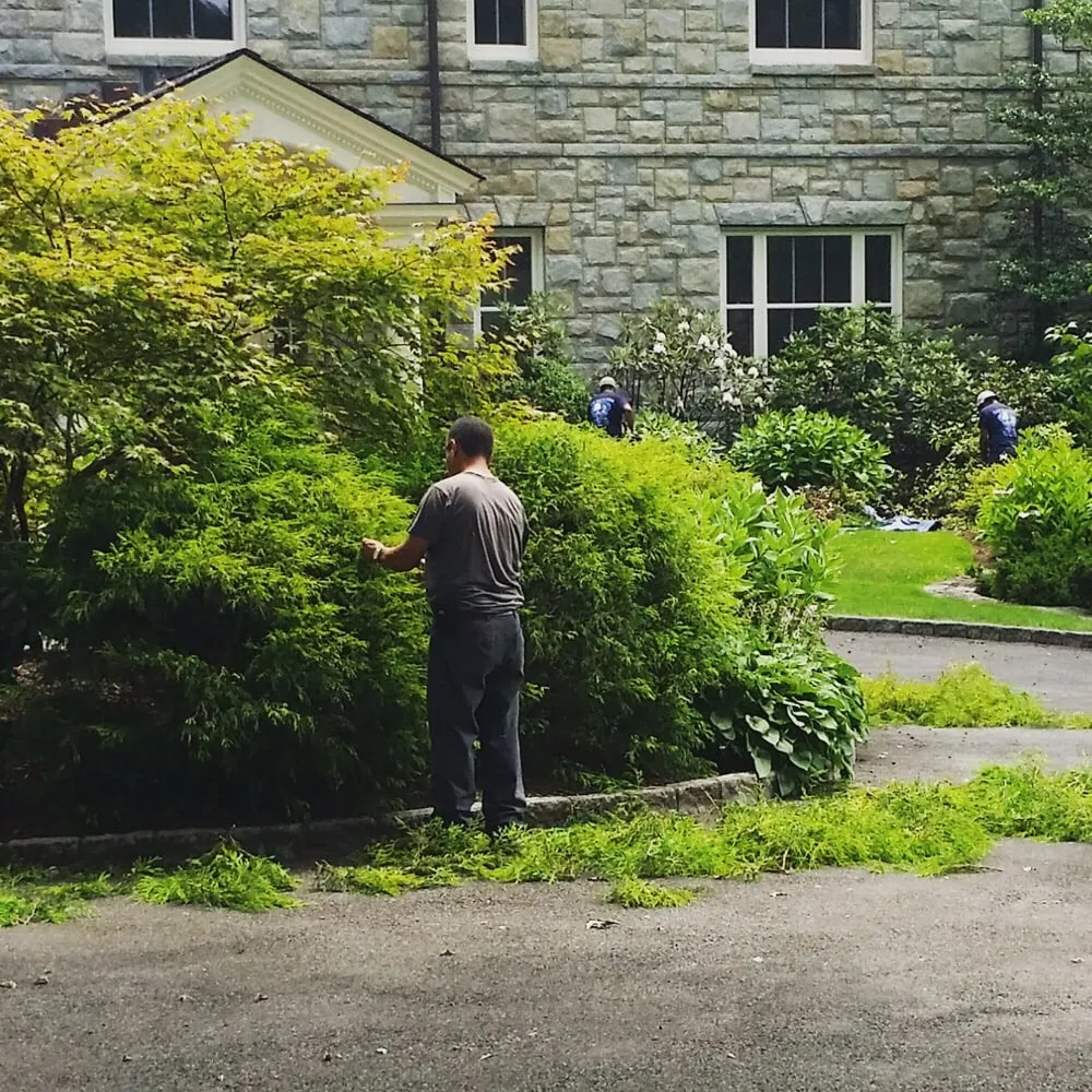 Custom yard cleanup service for homes across Mamaroneck, NY - Harrison Avenue Garden Center