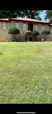 Harrison G Lawn Services Logo