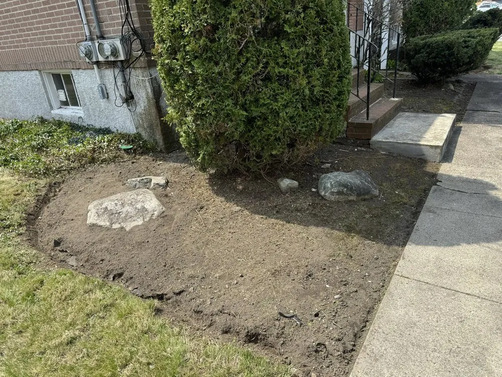 Trusted yard cleanup service in Randolph, MA by Harrison Landcasping