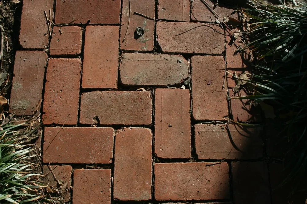 Trusted residential landscaping in Denison, TX by Harrison Landscape Services