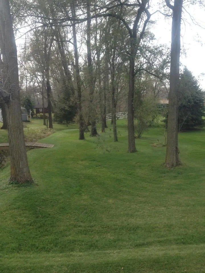 Local landscape design for homes across Knoxville, IL - Harrison Lawn Care