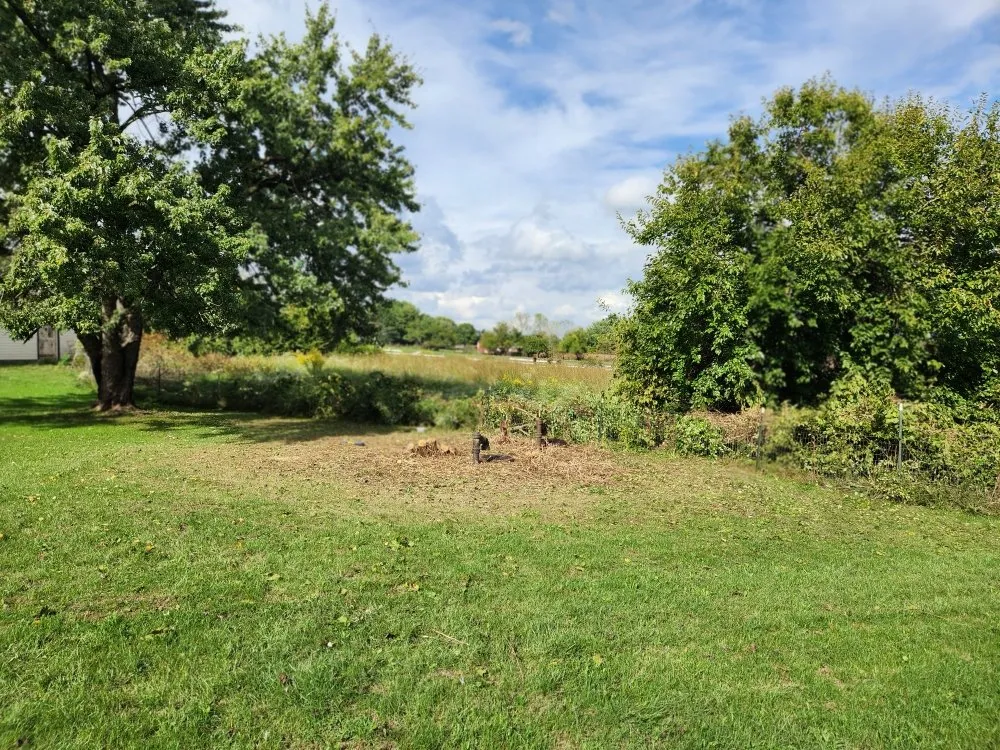 Local landscaping services with custom design across Owings Mills, MD - Harrison Outdoor