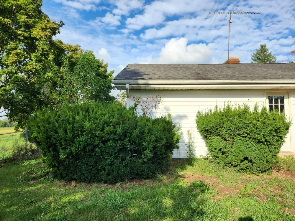 Top-rated yard maintenance experts serving Owings Mills, MD - Harrison Outdoor