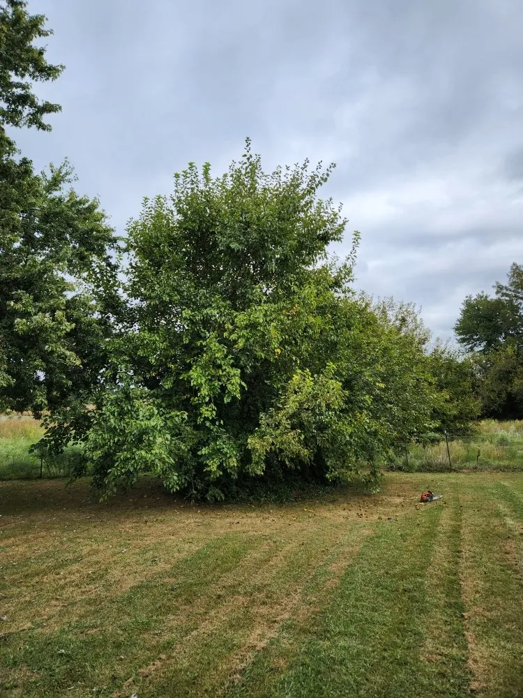 Expert outdoor landscaping experts serving Owings Mills, MD - Harrison Outdoor