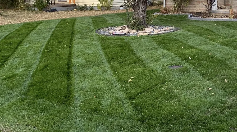Affordable yard cleanup service experts serving Wichita, KS - Harrison's Lawn and Landscape