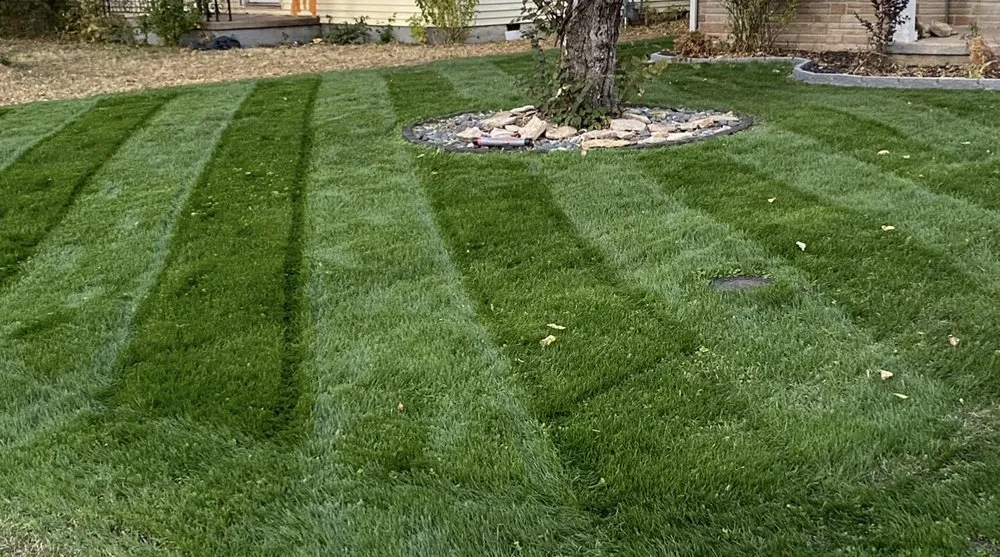 Top-rated lawn mowing service in Wichita, KS by Harrison's Lawn and Landscape