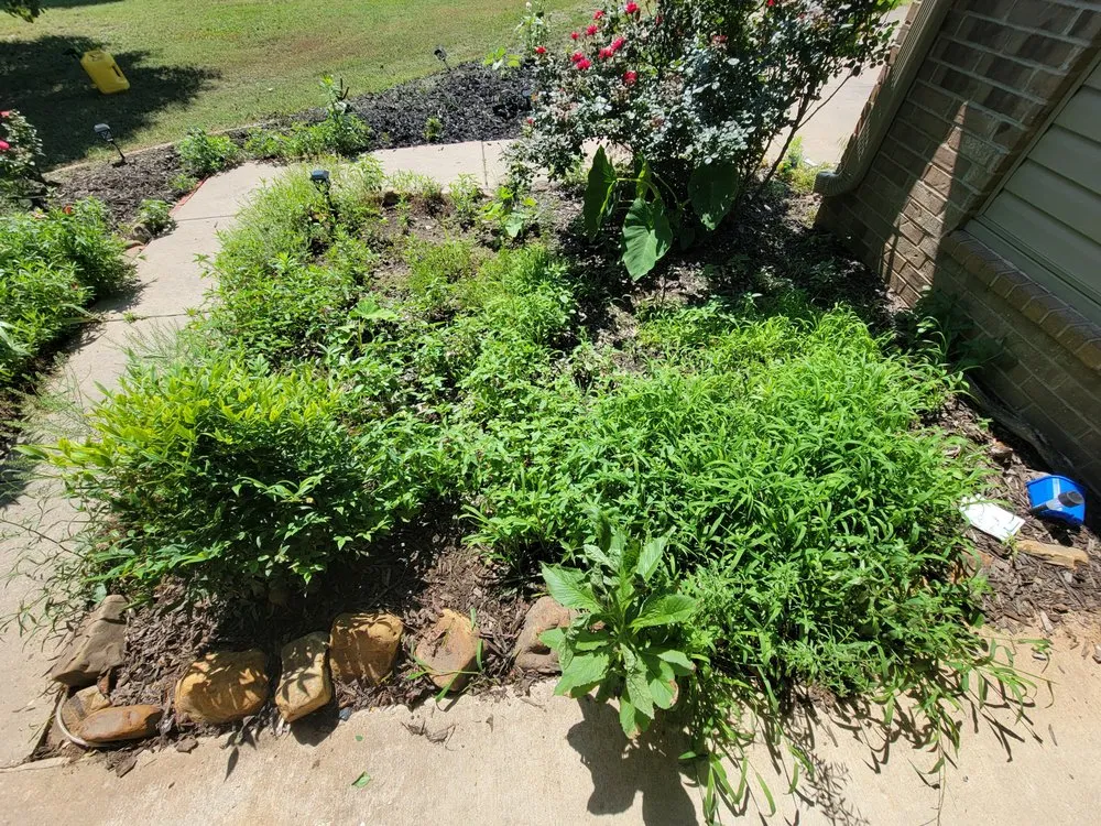 Top-rated residential landscaping for beautiful yards in Spiro, OK by Harrison's Lawn And Maintenance
