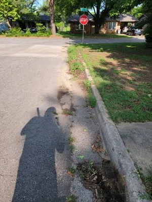 Harrison's Lawn And Maintenance