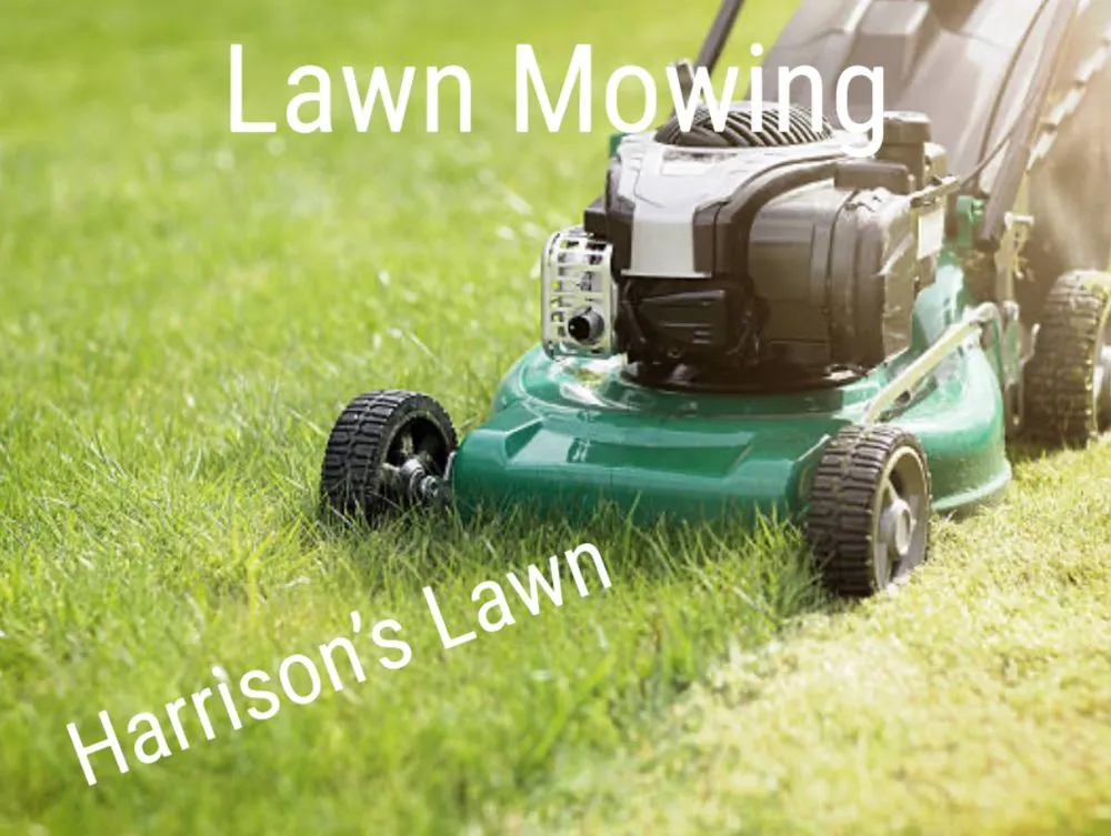 Reliable outdoor landscaping for beautiful yards across Cibolo, TX - Harrison’s Mowing