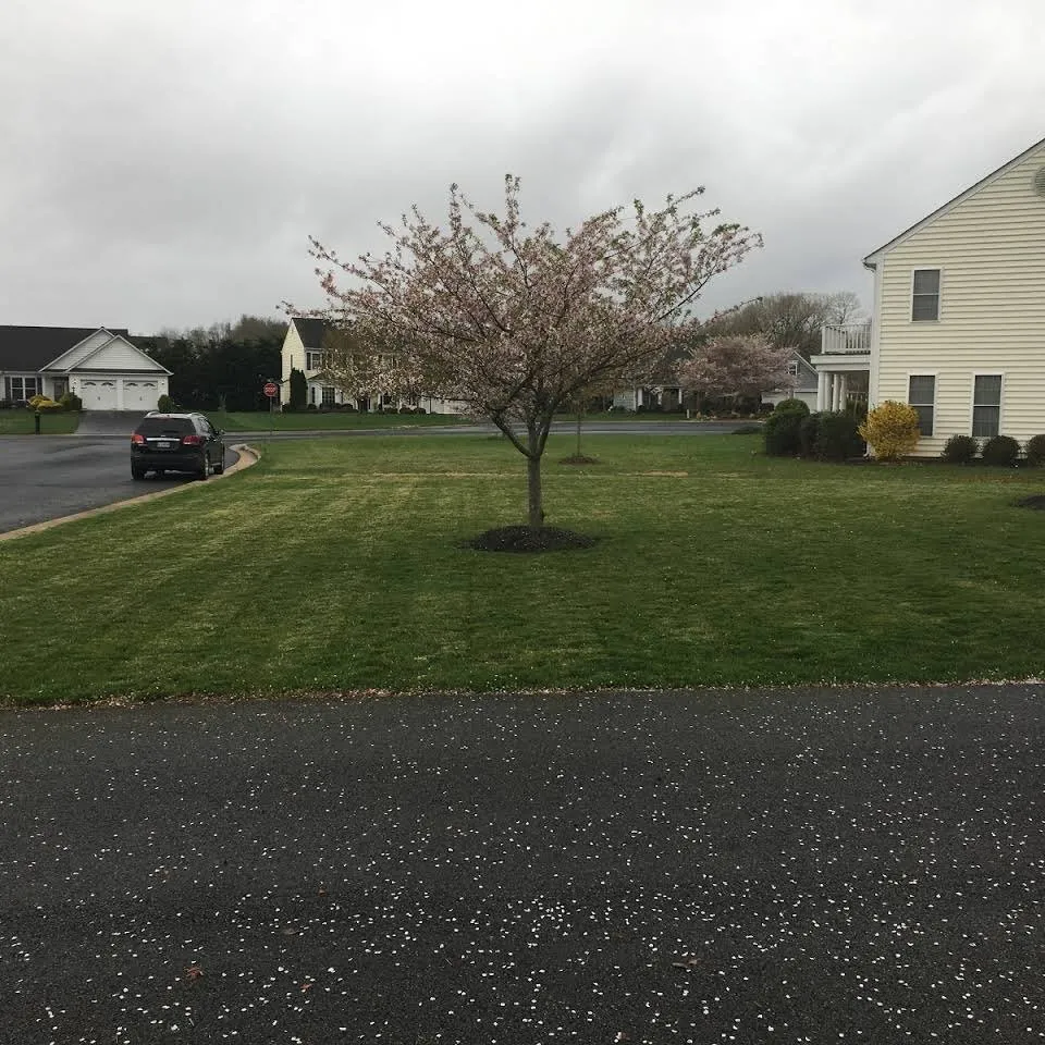Reliable outdoor landscaping experts serving Waynesboro, VA - Harris’s Mowing Service