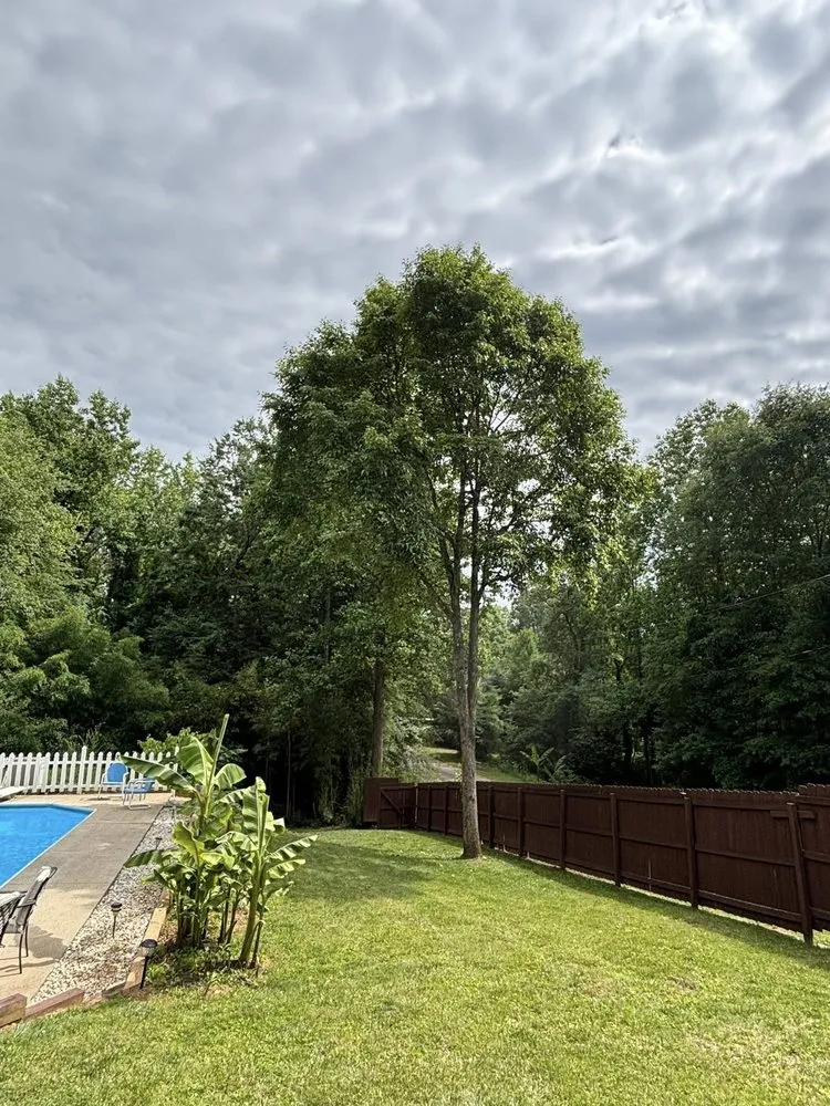 Expert landscaping services for year-round maintenance across Millers Creek, NC - Harrold's Tree and Land Management