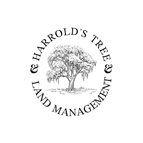 Reliable lawn mowing service near you in Millers Creek, NC by Harrold's Tree and Land Management