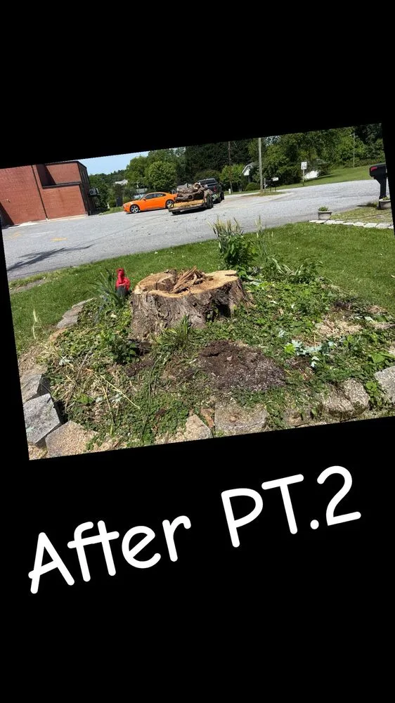 Reliable outdoor landscaping for beautiful yards in Millers Creek, NC by Harrold's Tree and Land Management